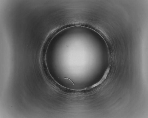 X0000111360587200907101232