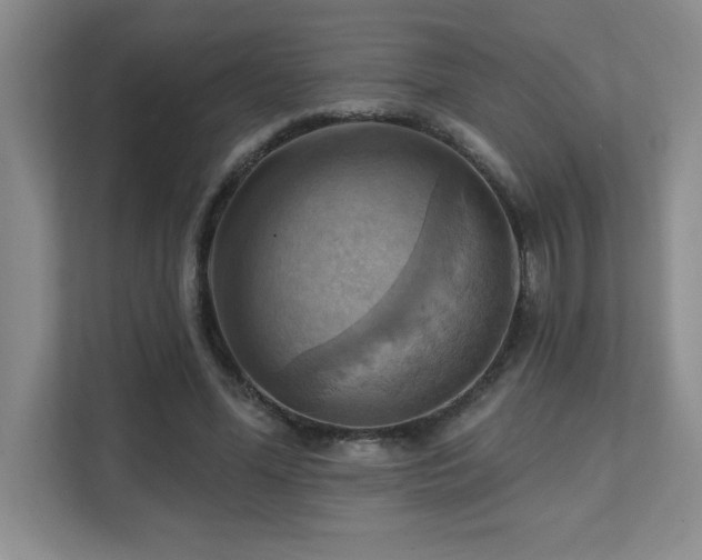 X0000111360588200907101232