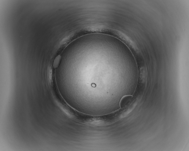 X0000111360589200907101232