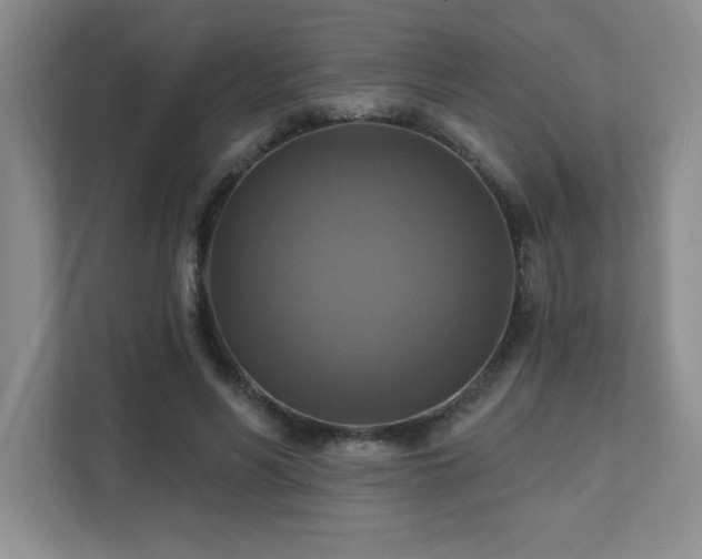 X0000111360590200907101232