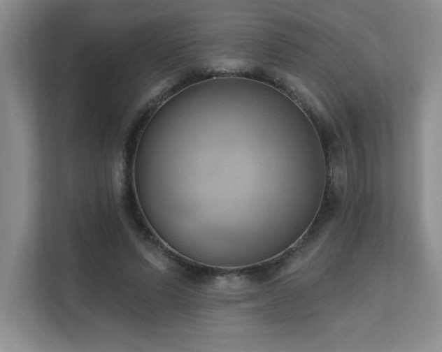 X0000111360591200907101232