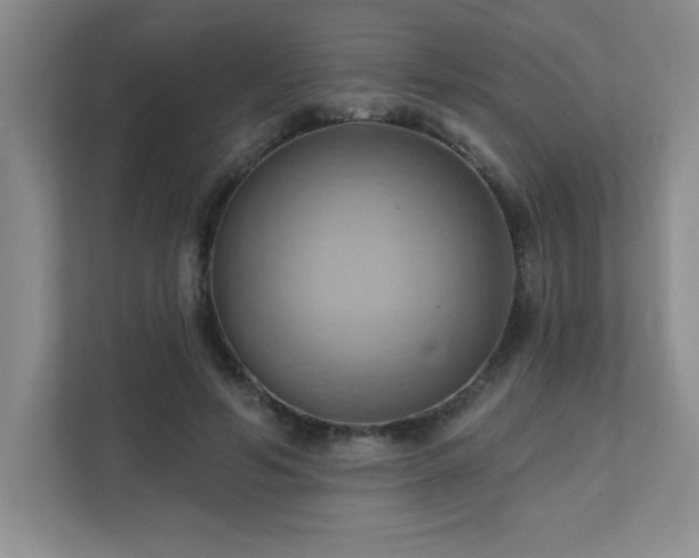 X0000111360594200907101232
