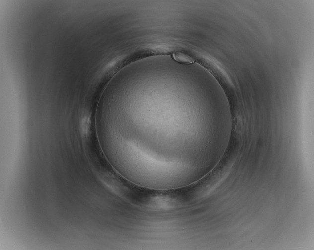 X0000111360596200907101232