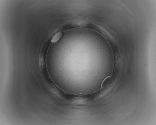 X0000111360597200907101232