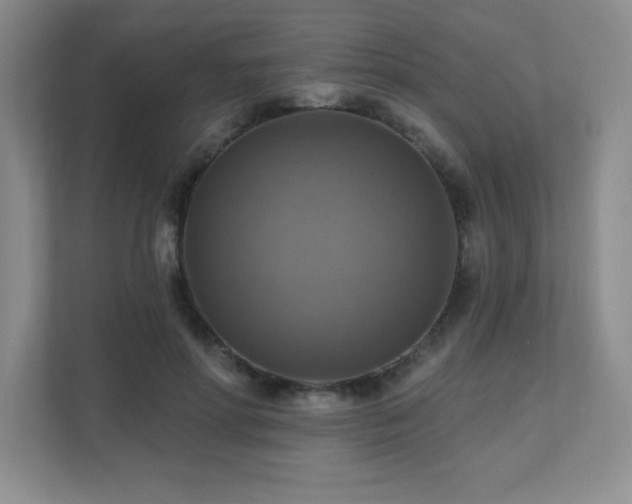 X0000111360598200907101232