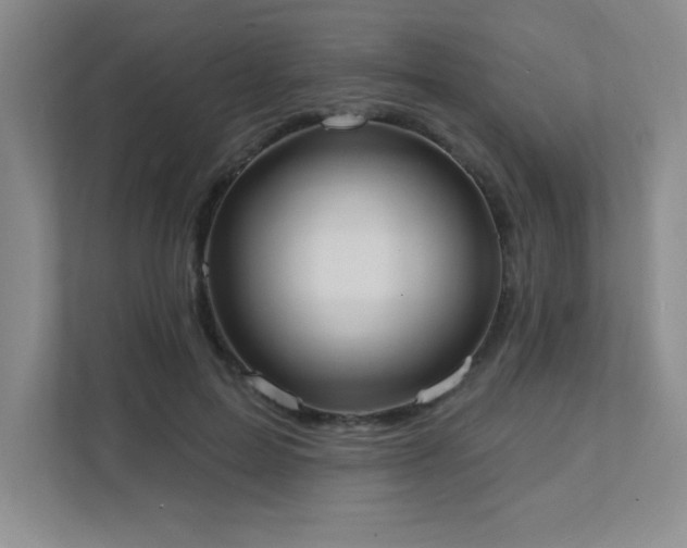 X0000111360599200907101232
