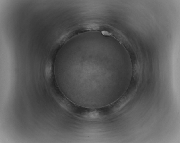 X0000111360600200907101232