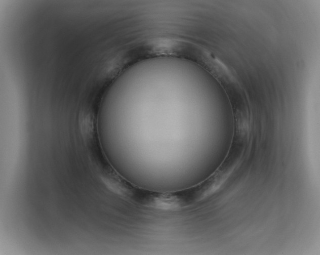 X0000111360603200907101232