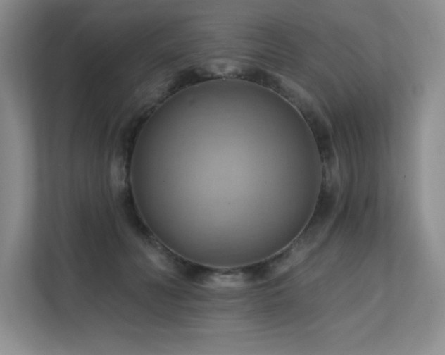 X0000111360606200907101232