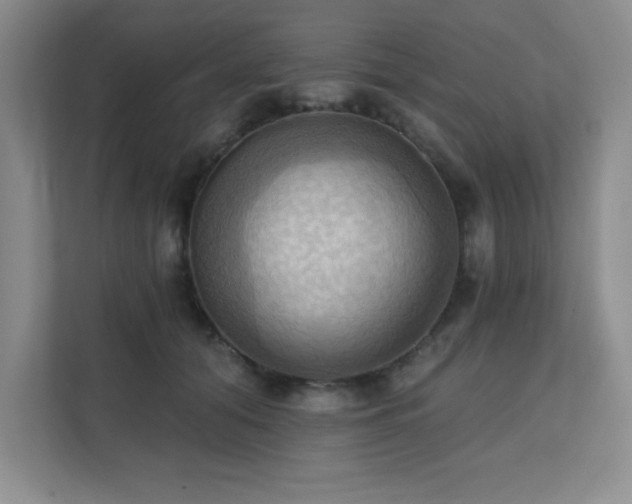 X0000111360608200907101232