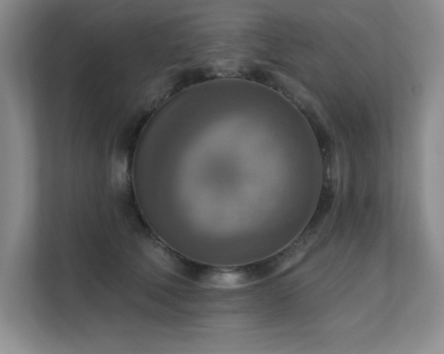 X0000111360610200907101232