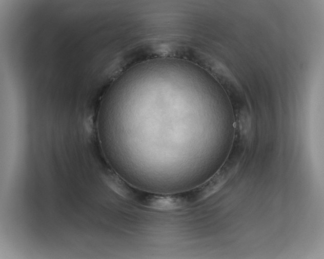 X0000111360611200907101232