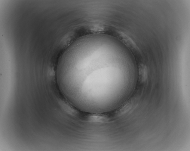 X0000111360614200907101232