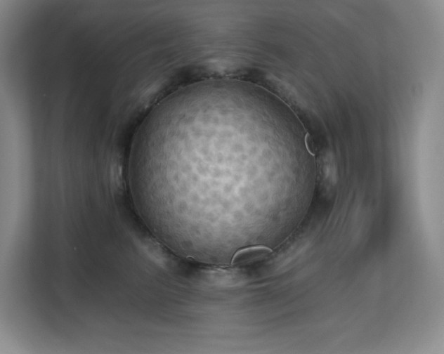 X0000111360615200907101232