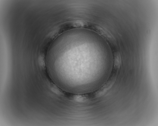 X0000111360616200907101232