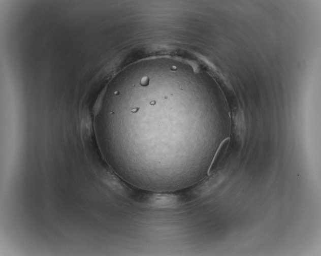 X0000111360617200907101232