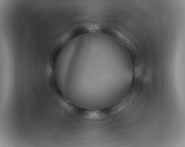 X0000111360618200907101232