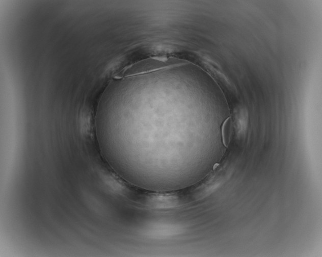 X0000111360619200907101232