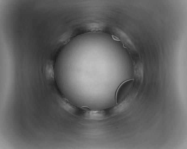 X0000111360622200907101232