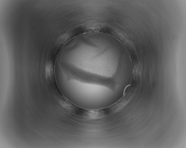 X0000111360623200907101232