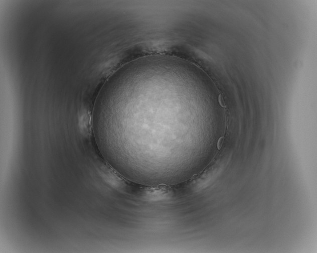 X0000111360624200907101232