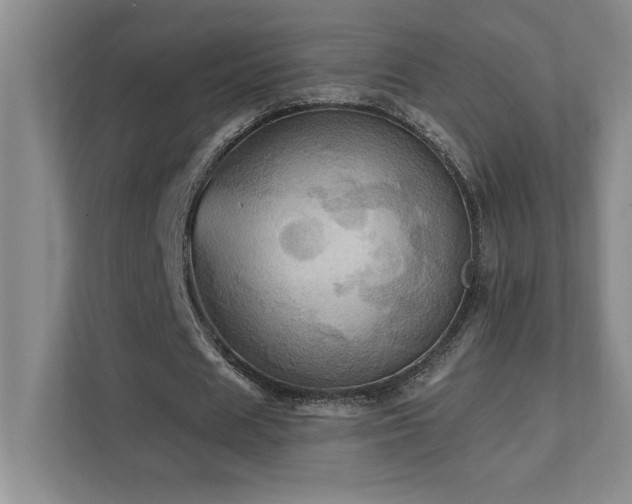 X0000111360625200907101231