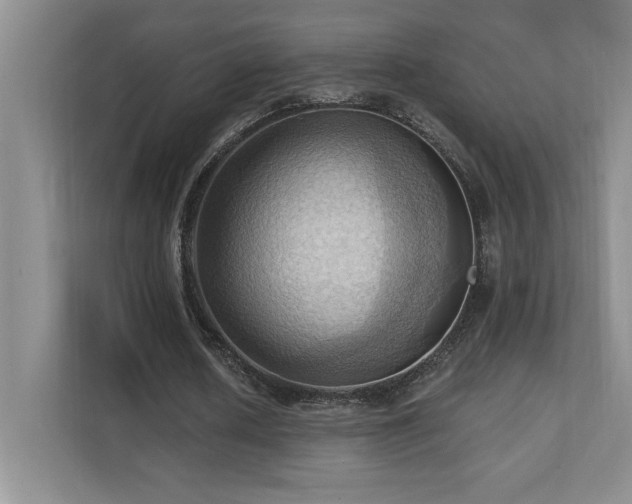 X0000111360626200907101231
