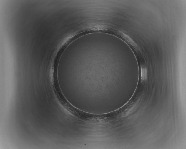 X0000111360627200907101231