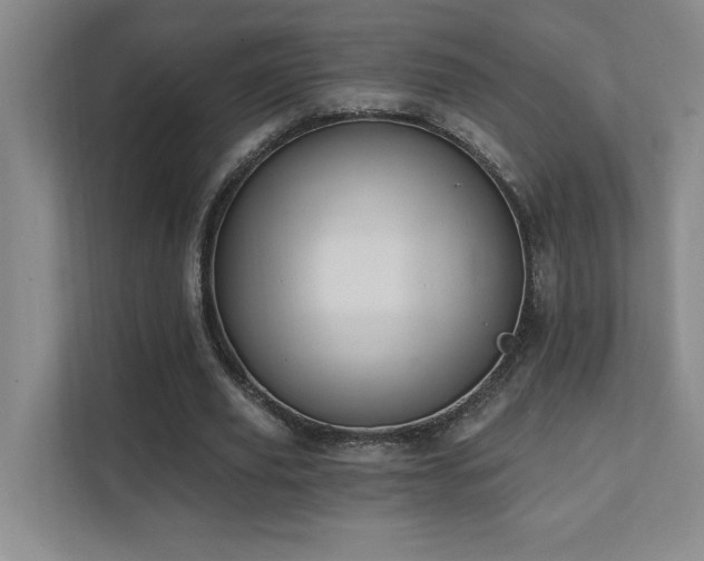 X0000111360629200907101231
