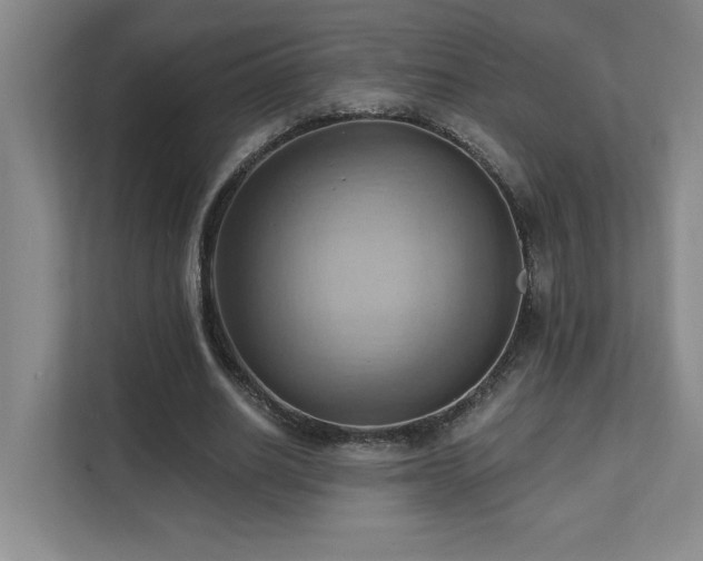 X0000111360630200907101231