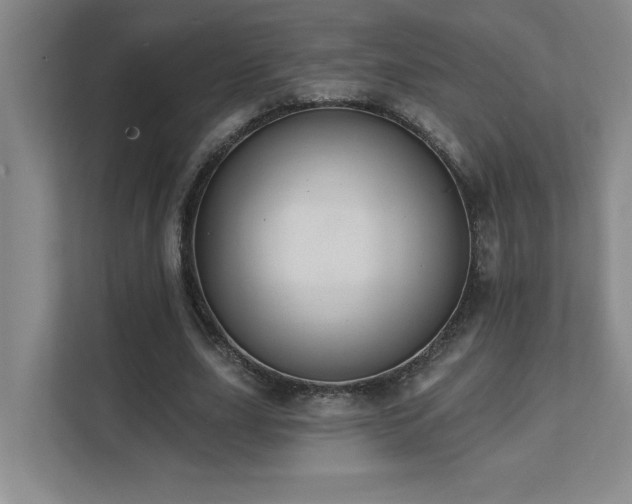 X0000111360631200907101231