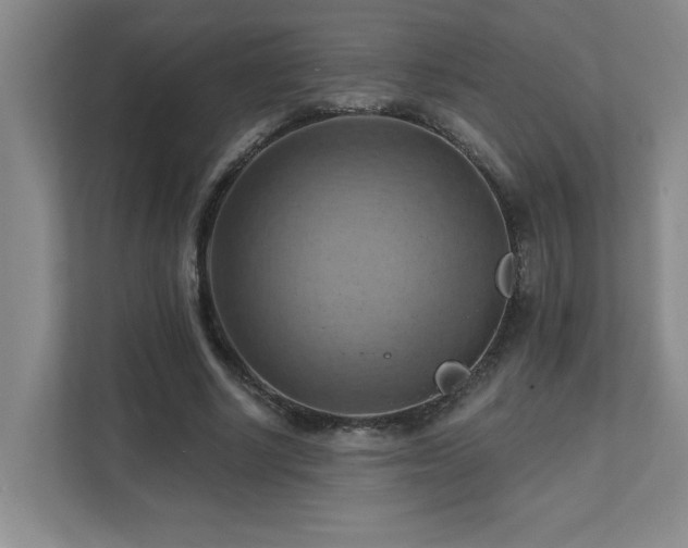 X0000111360634200907101231
