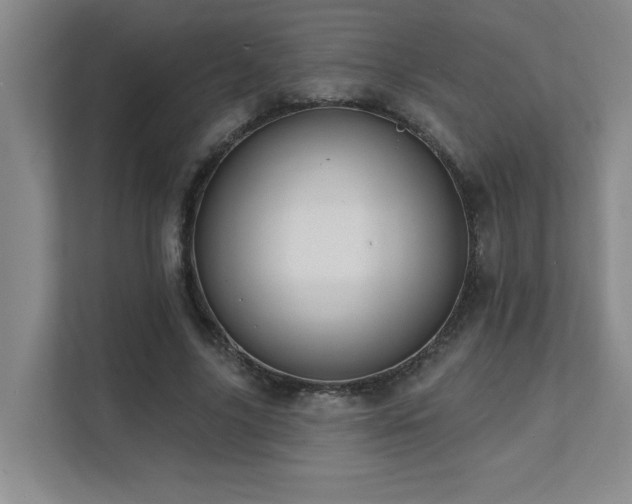 X0000111360635200907101231