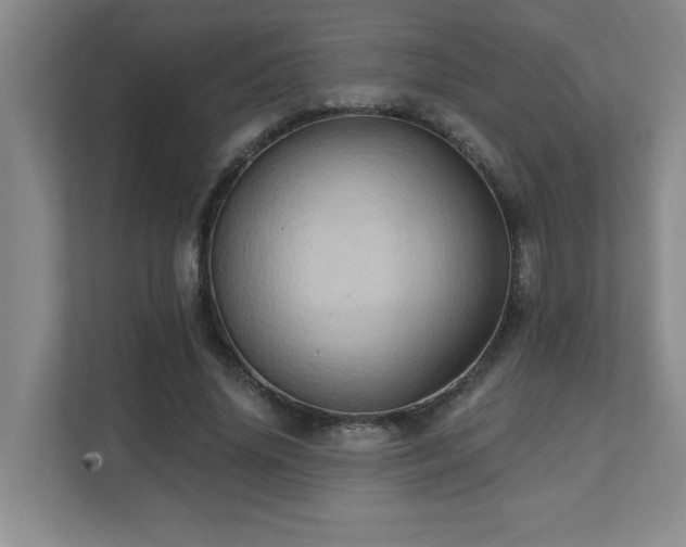 X0000111360636200907101231