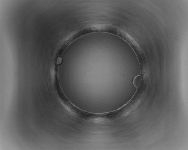 X0000111360637200907101231