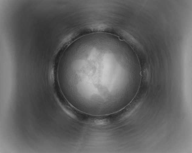 X0000111360638200907101231