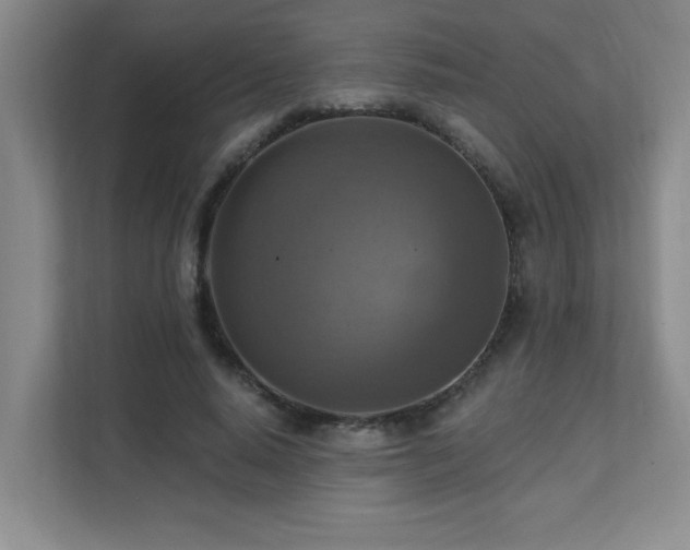 X0000111360640200907101231
