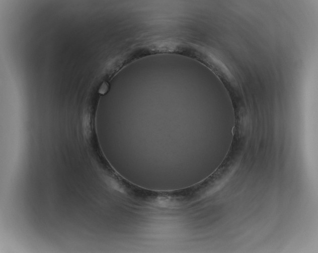 X0000111360641200907101231