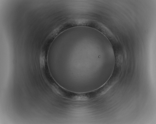 X0000111360644200907101231