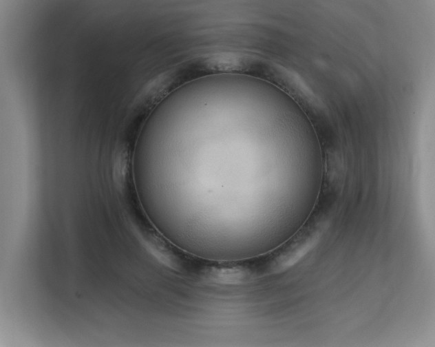 X0000111360645200907101231