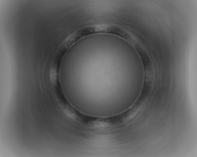 X0000111360648200907101231