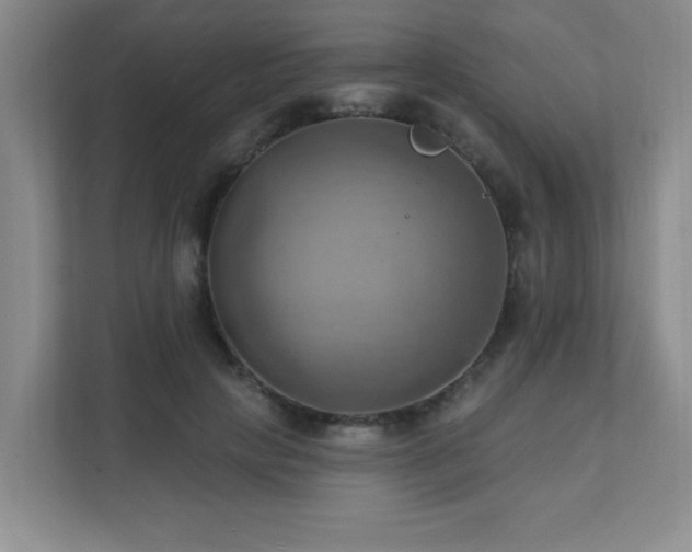 X0000111360649200907101231
