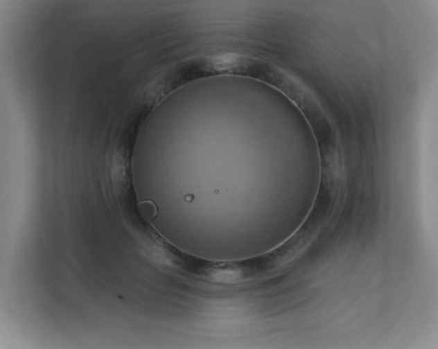 X0000111360653200907101231
