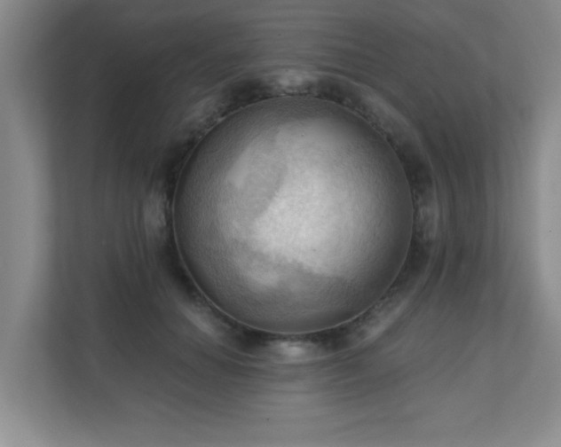 X0000111360654200907101231