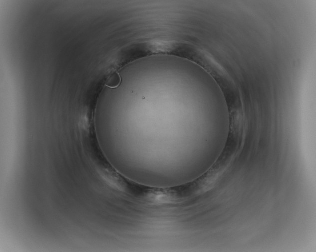 X0000111360655200907101231