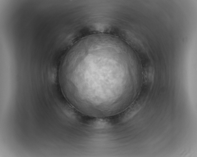 X0000111360656200907101231