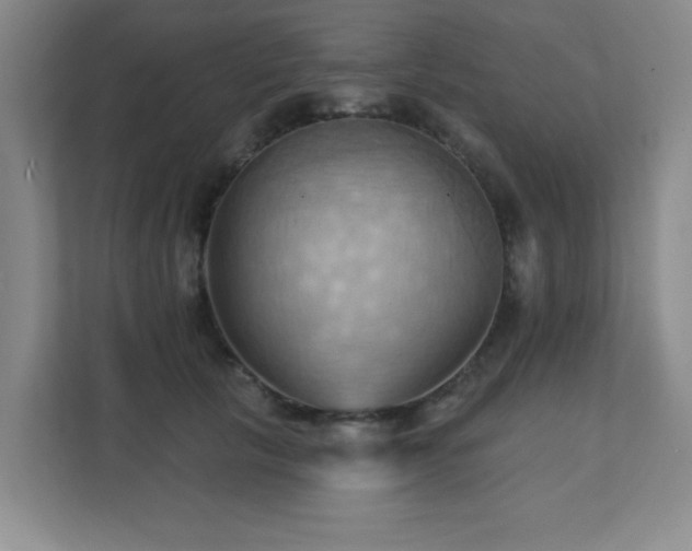 X0000111360657200907101231