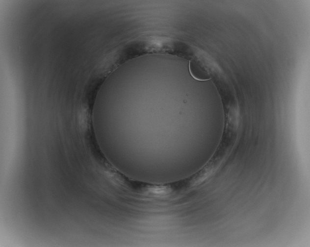 X0000111360659200907101232
