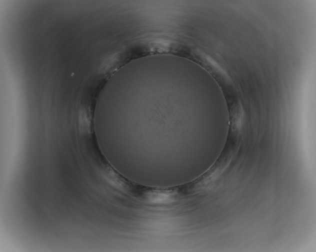 X0000111360661200907101232