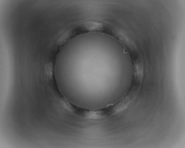 X0000111360664200907101232